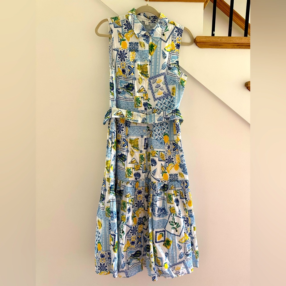 Floral and lemon Sleeveless Dress - Blue and Yellow